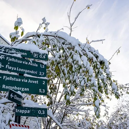 Bridge & Cathedral View L By Fjellheisen דירה