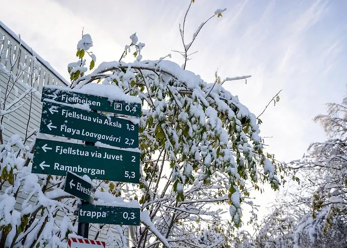 Bridge & Cathedral View L By Fjellheisen דירה